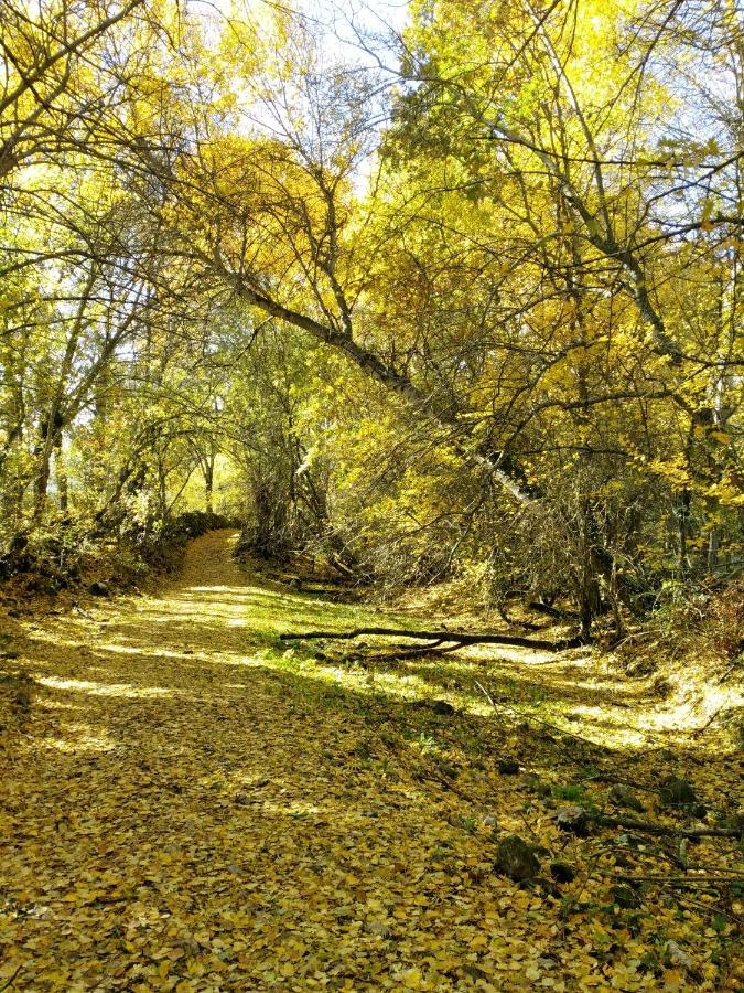 فيلا La Majada De Alameda Alameda del Valle المظهر الخارجي الصورة